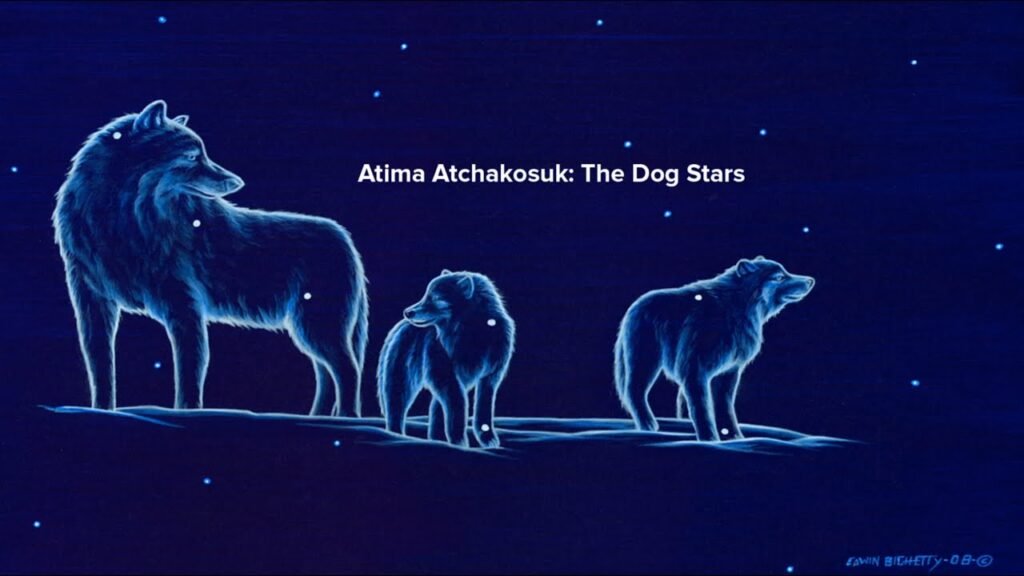 The Dog Stars 2026 post apocalyptic movies survival drama film Peter Heller adaptation 2026 Hollywood releases character-driven apocalypse movies emotional survival films dog companion movies